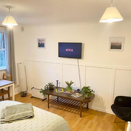 Bright And Comfortable Studio Apartment 伦敦 外观 照片