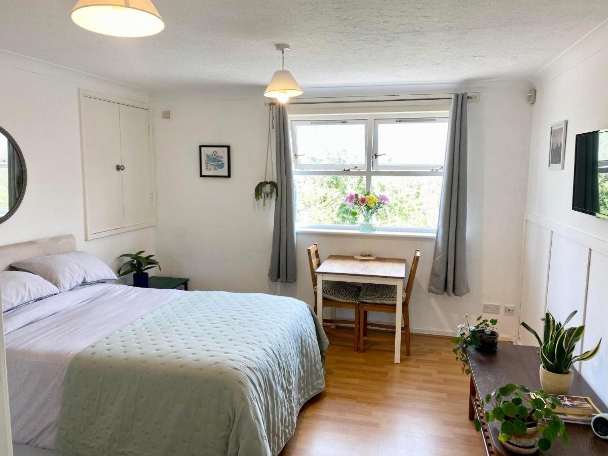 Bright And Comfortable Studio Apartment 伦敦 外观 照片